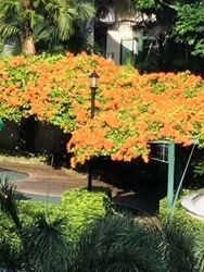 Signature Park (D21), Condominium #602893721